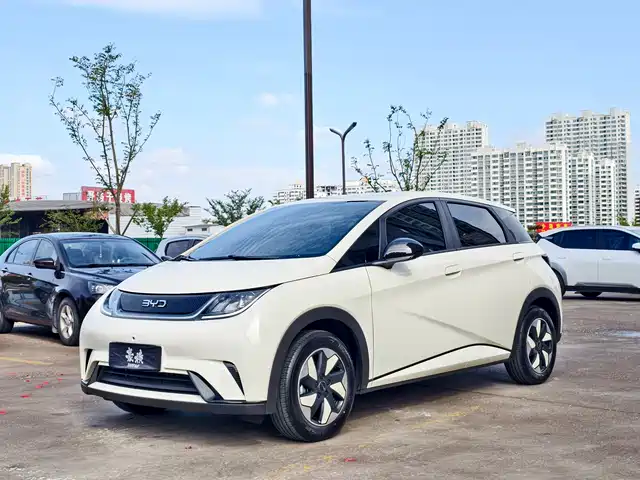 BYD DOLPHIN 2025