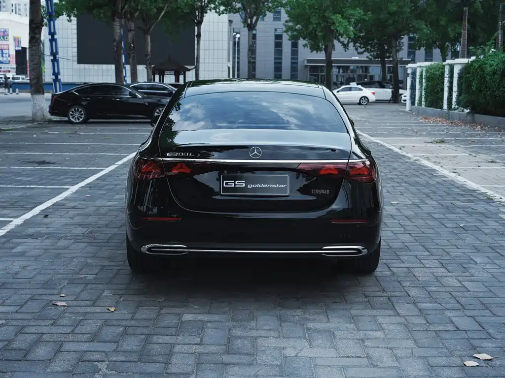 Mercedes-Benz E-Class E 2025 E 300 L Luxury