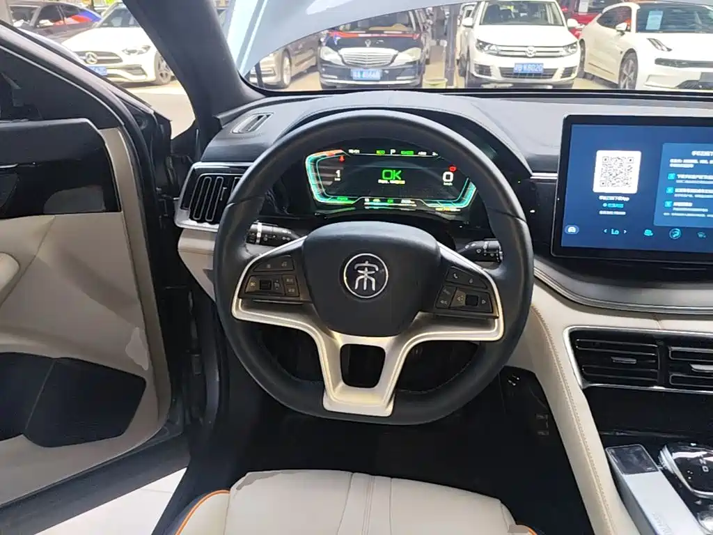 BYD PLUS New Energy — миниатюра 11
