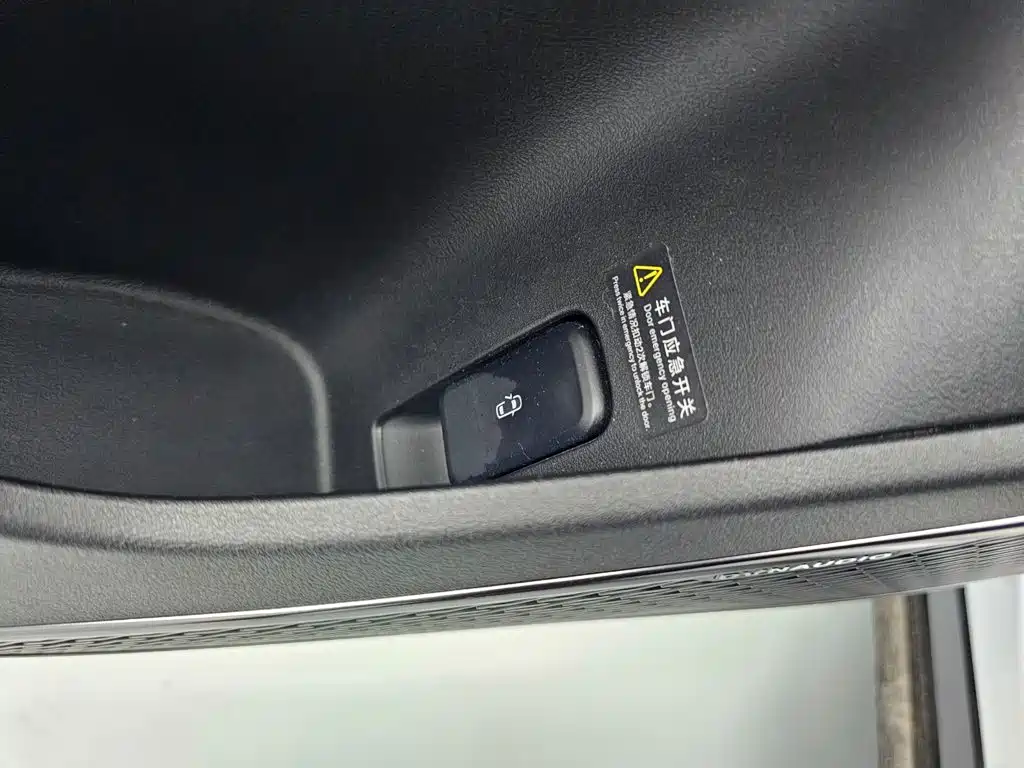 BYD L EV — миниатюра 19