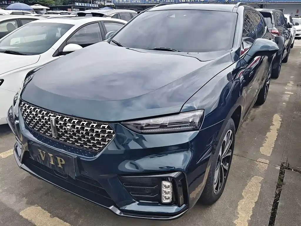 Купить Wey Wey VV7