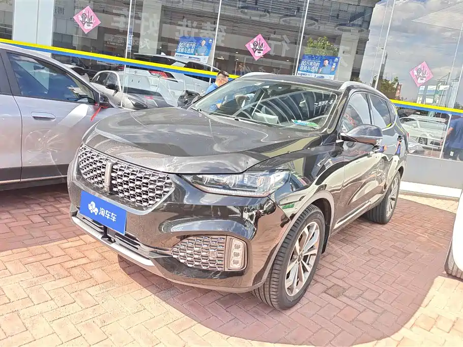 Купить Wey Wey VV6