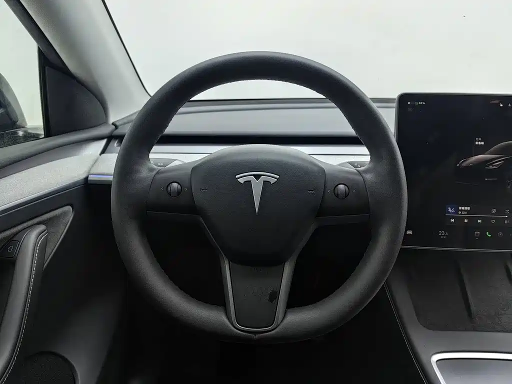 Tesla Model Y — миниатюра 11