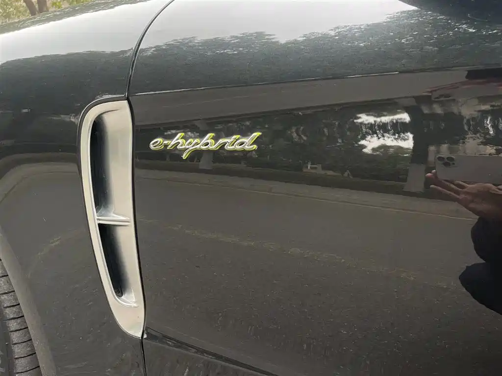 PORSCHE PANAMERA NEW ENERGY