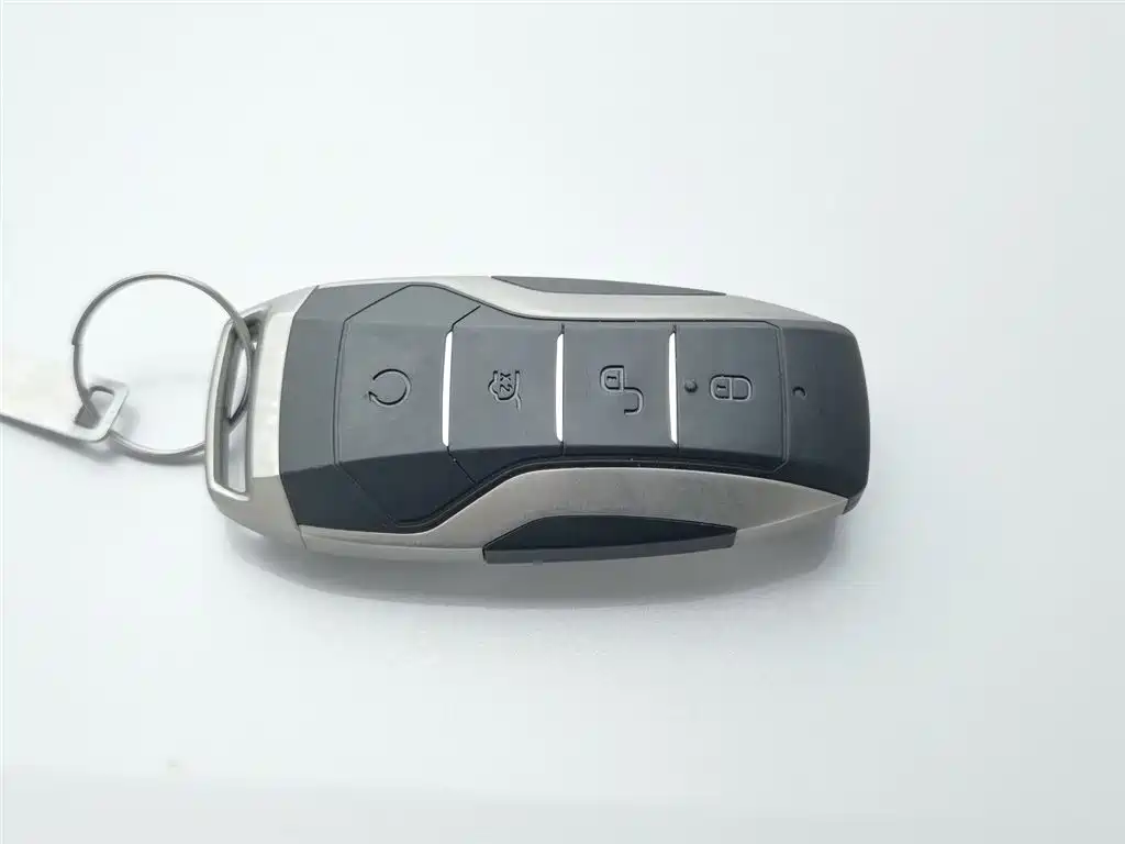 BYD SONGJIANG NEW ENERGY