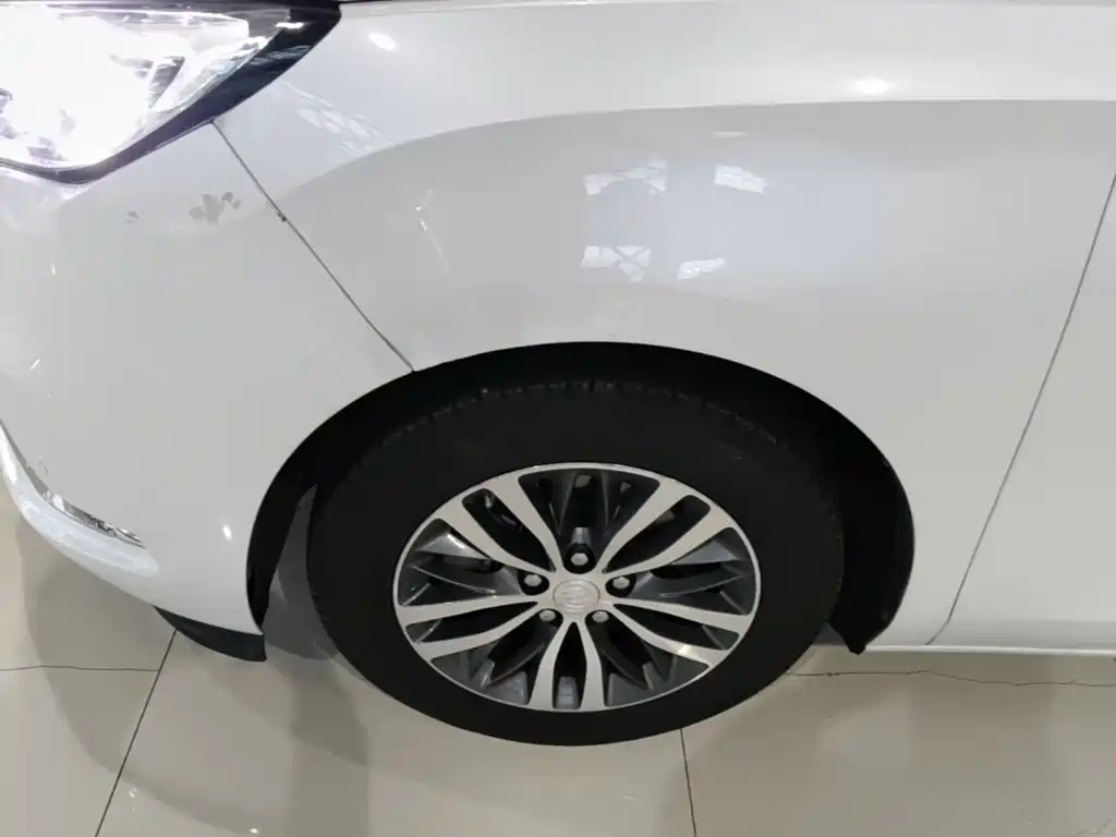 Buick GL8 — миниатюра 23
