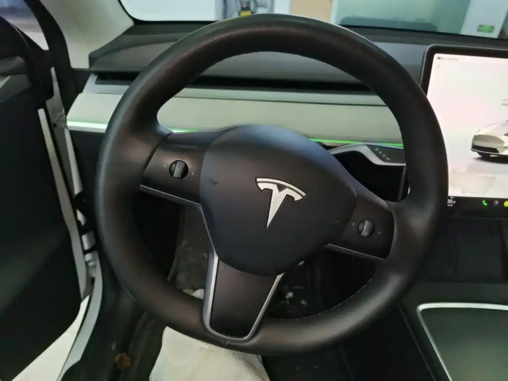 Tesla Model Y — миниатюра 11