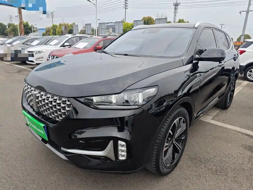 Wey Wey VV6 2020