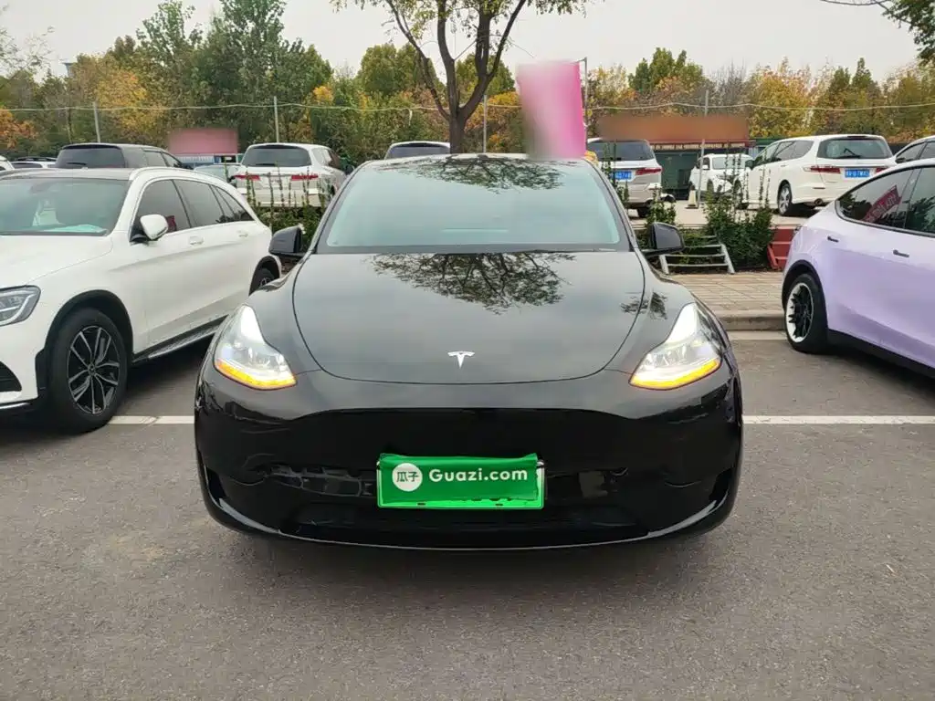 Tesla Model Y — миниатюра 3