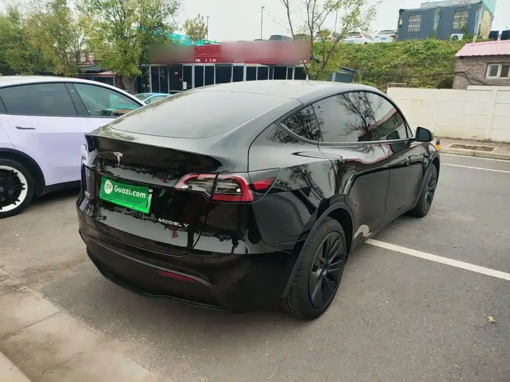 Tesla Model Y — миниатюра 7