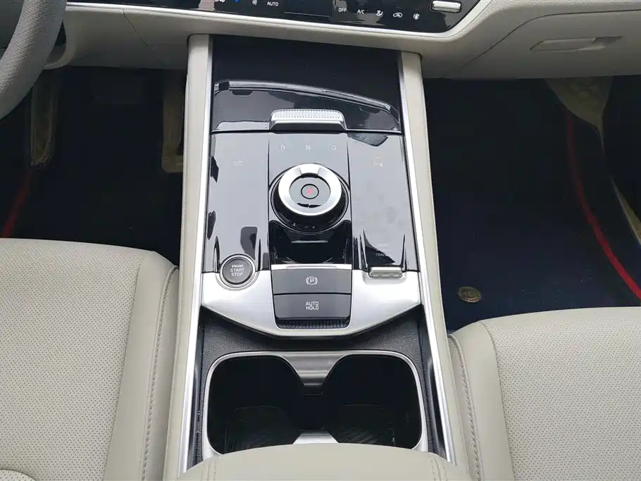 KIA LION PLATINUM EXPANDS THE WORLD