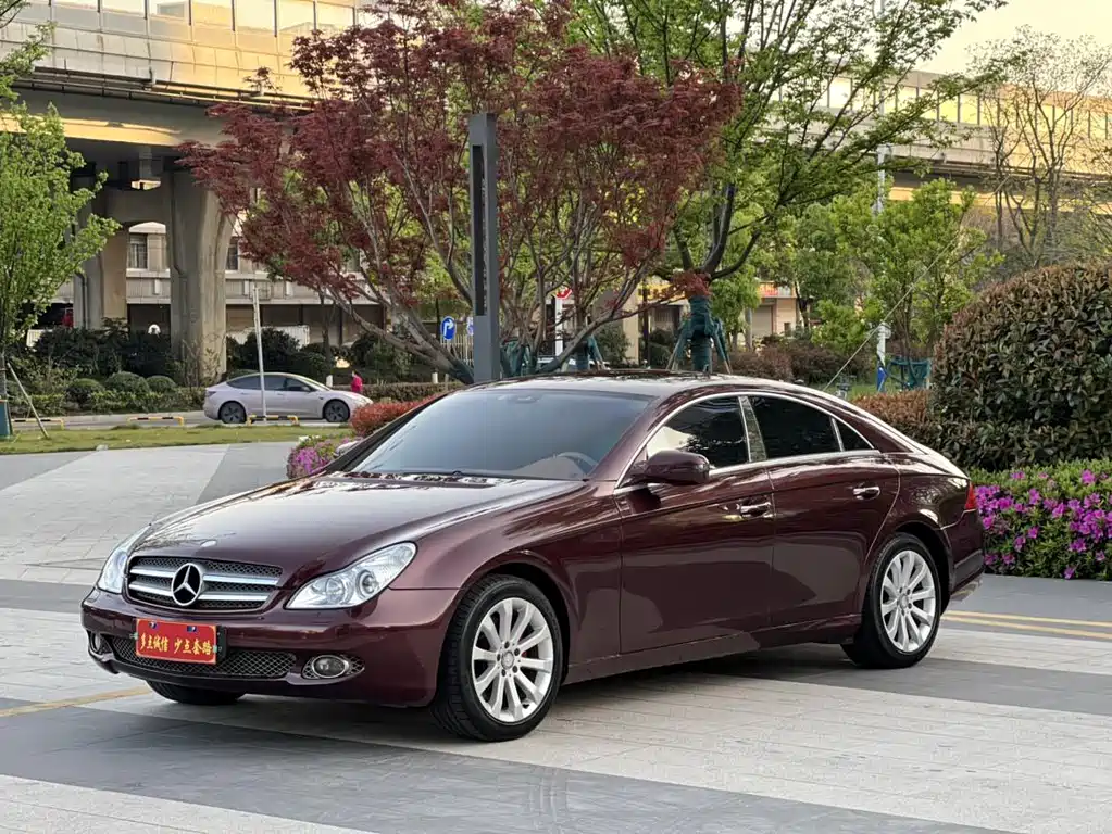 Mercedes-Benz CLS 2010