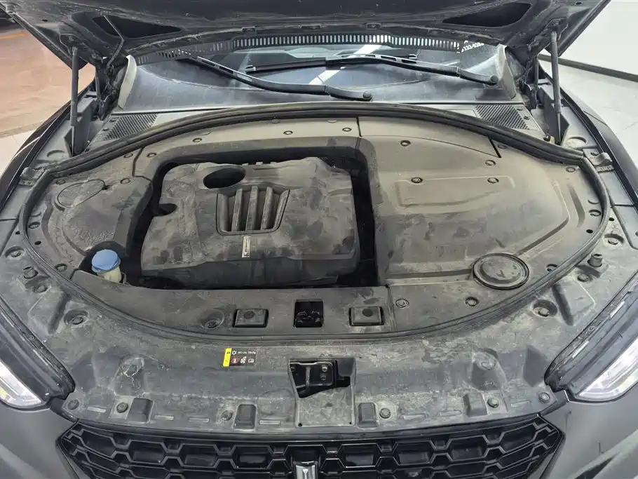 WEI PAI WEI BRAND VV7