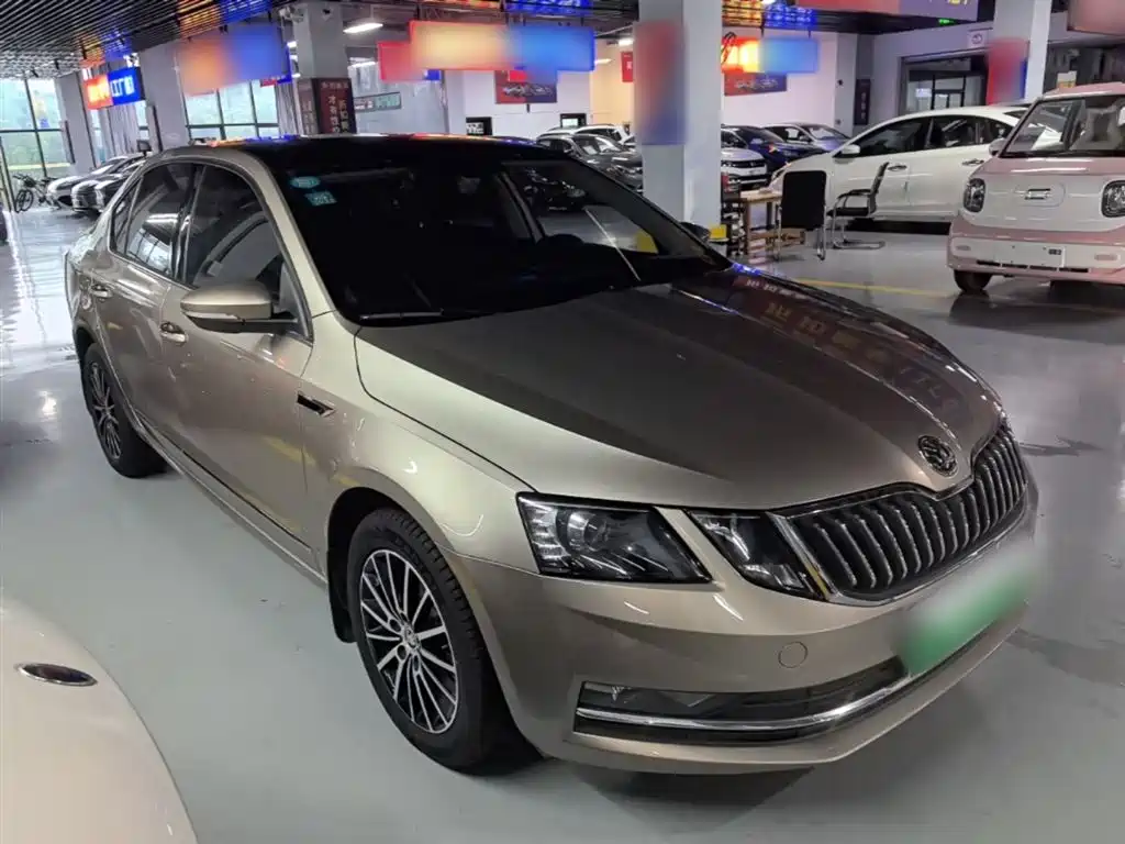 Skoda Octavia 2019 1.5L AT Luxury VI