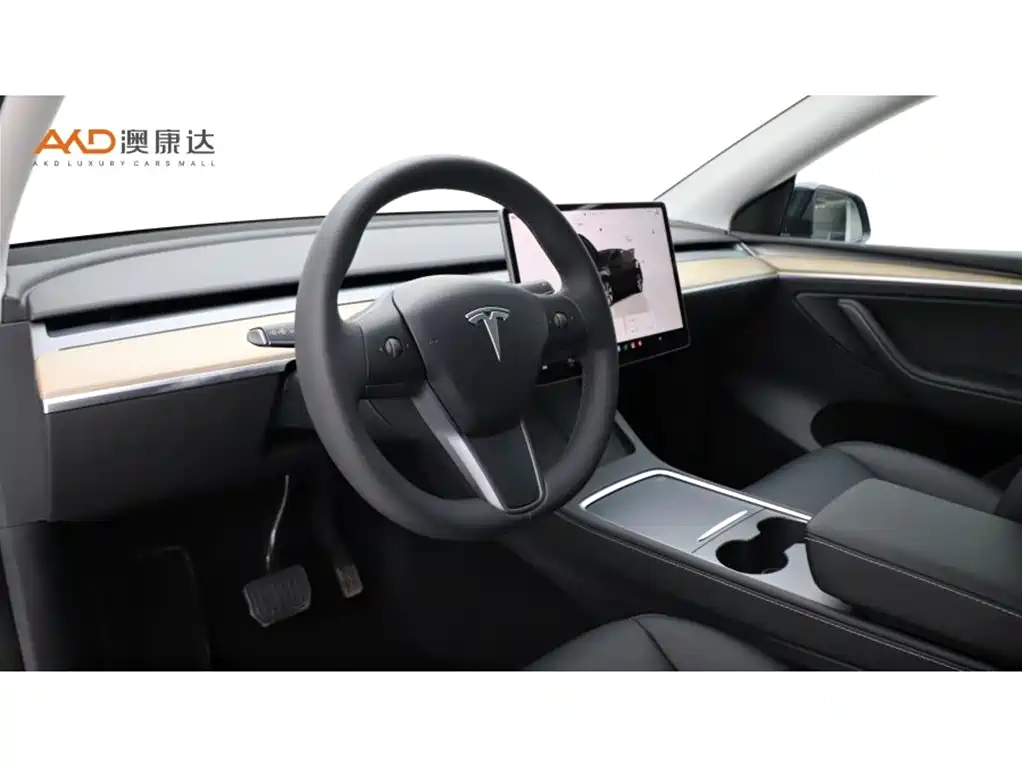 Tesla Model Y — миниатюра 6