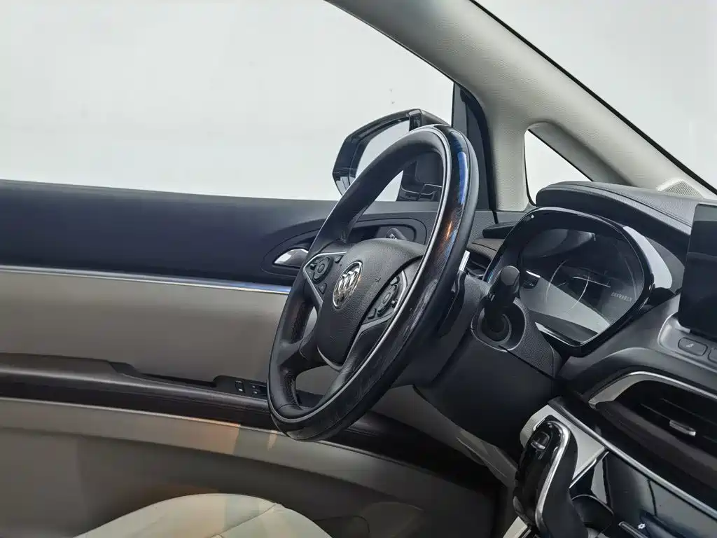 Buick GL8 — миниатюра 22