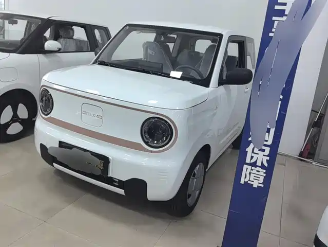 GEELY GALAXY PANDA 2025