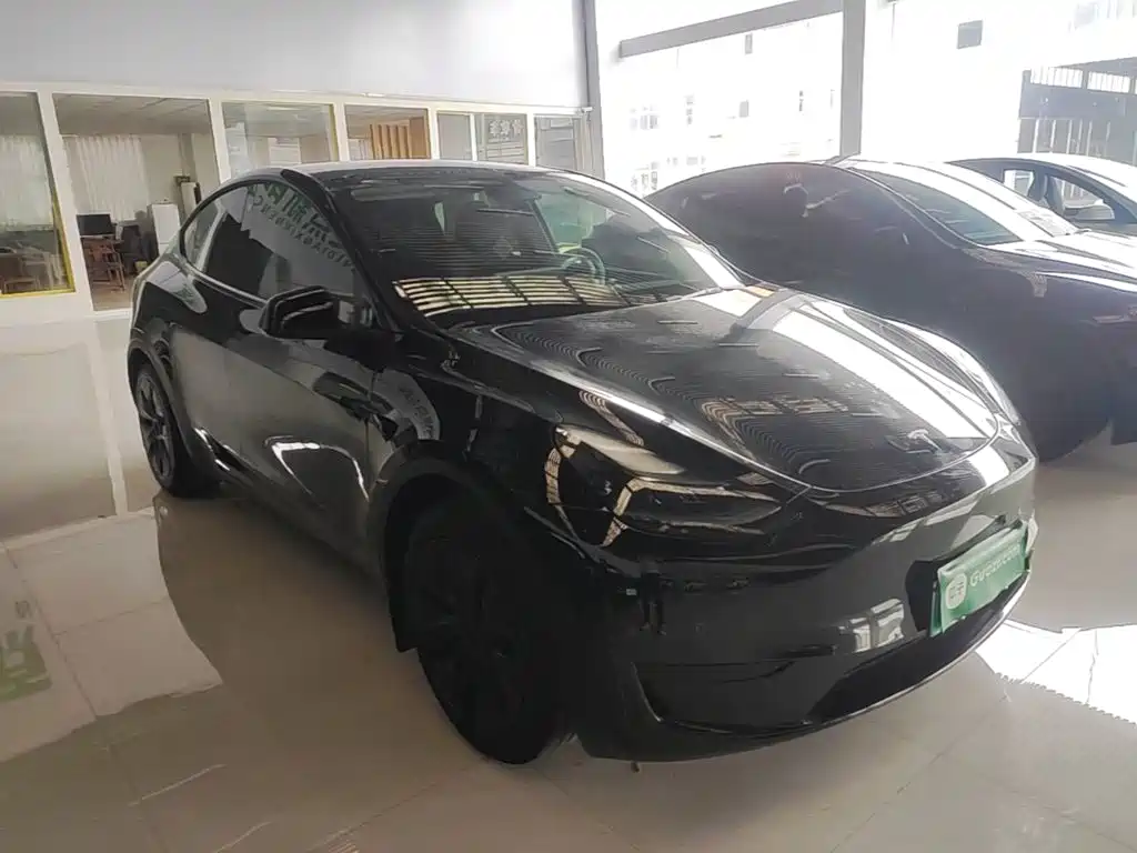 Tesla Model Y — миниатюра 4