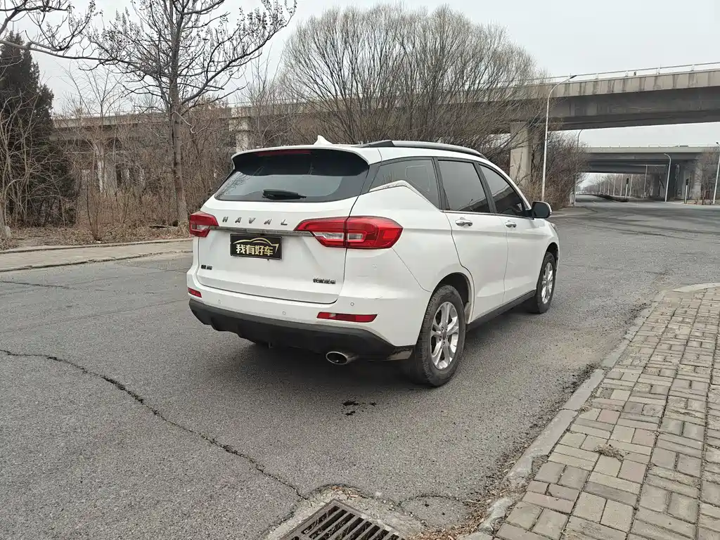HAVAL M6