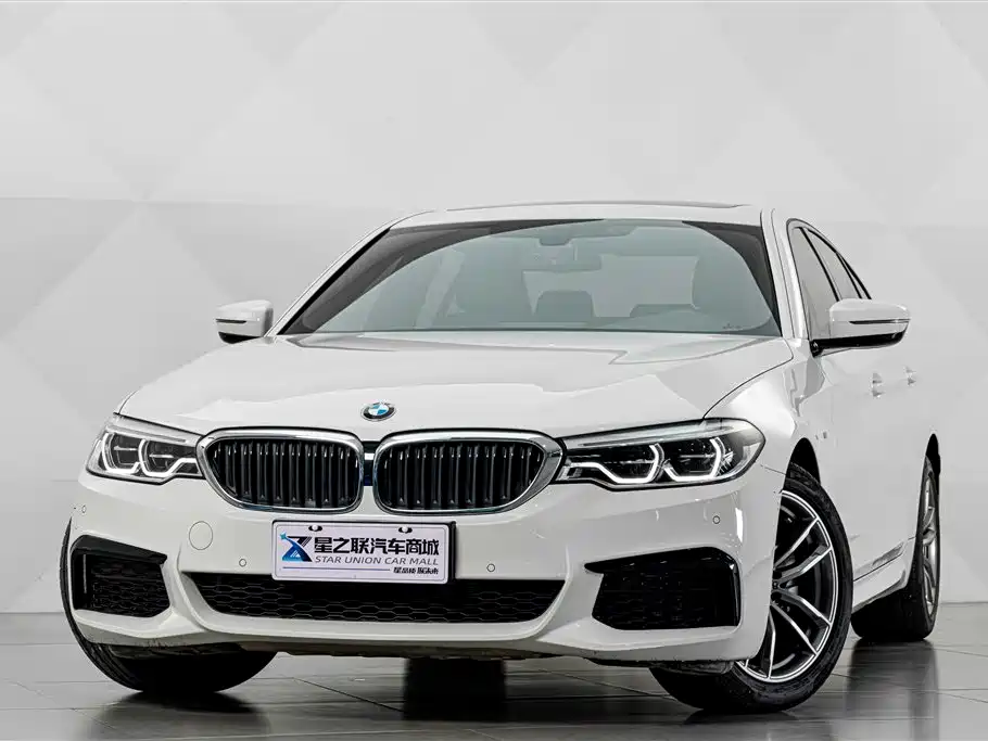 BMW 5 Series (Import) — миниатюра 2