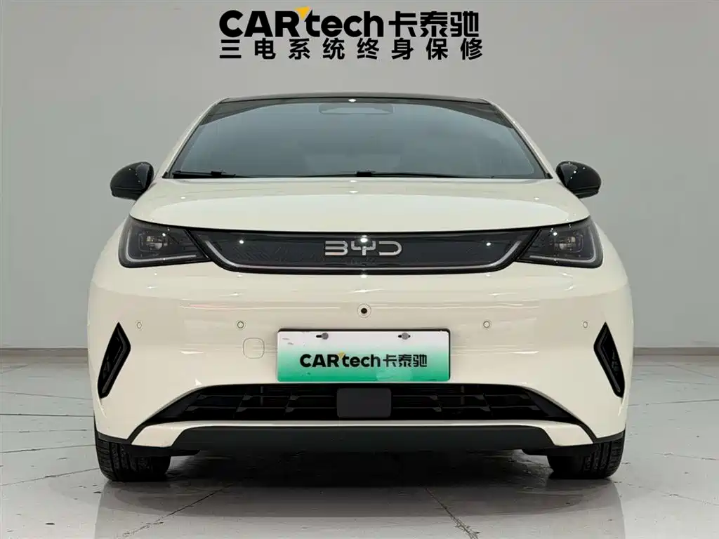 BYD Dolphin 2025 Smart Drive 410km Fashion