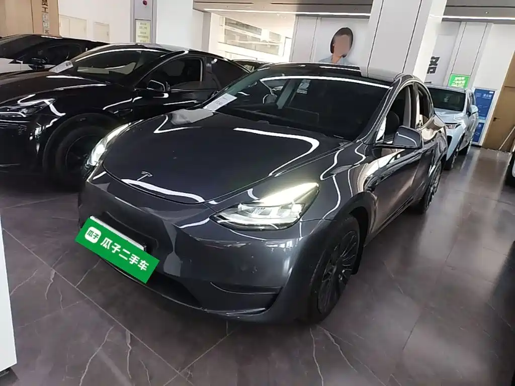 Tesla Model Y — миниатюра 2