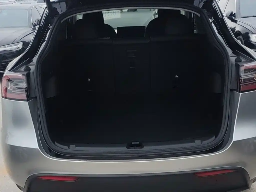 Tesla Model Y — миниатюра 18