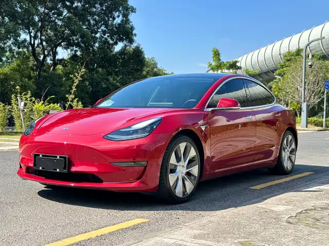 TESLA MODEL 3 2019
