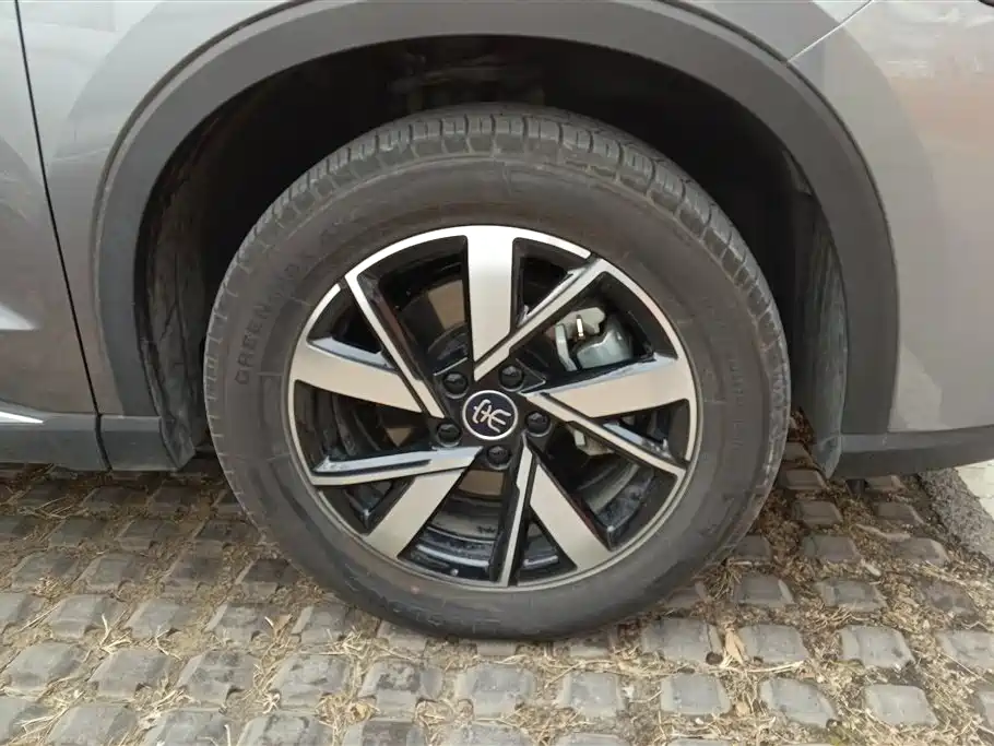 BYD SONGJIANG NEW ENERGY