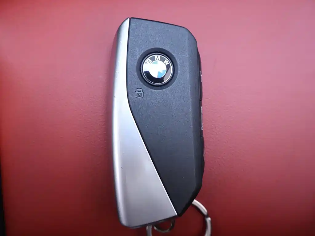 BMW X1 — миниатюра 25