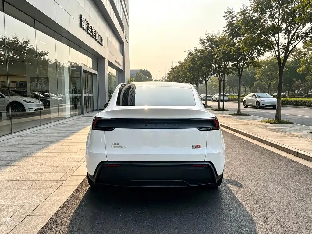 Tesla Model Y — миниатюра 8