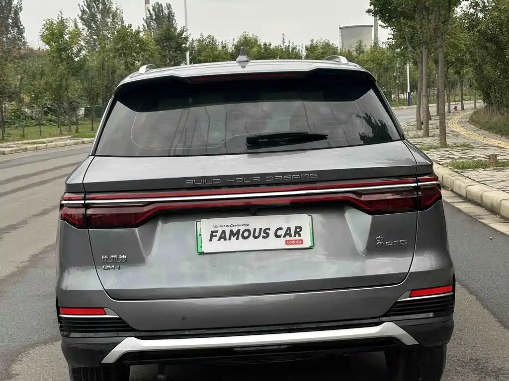 BYD Pro New Energy — миниатюра 5