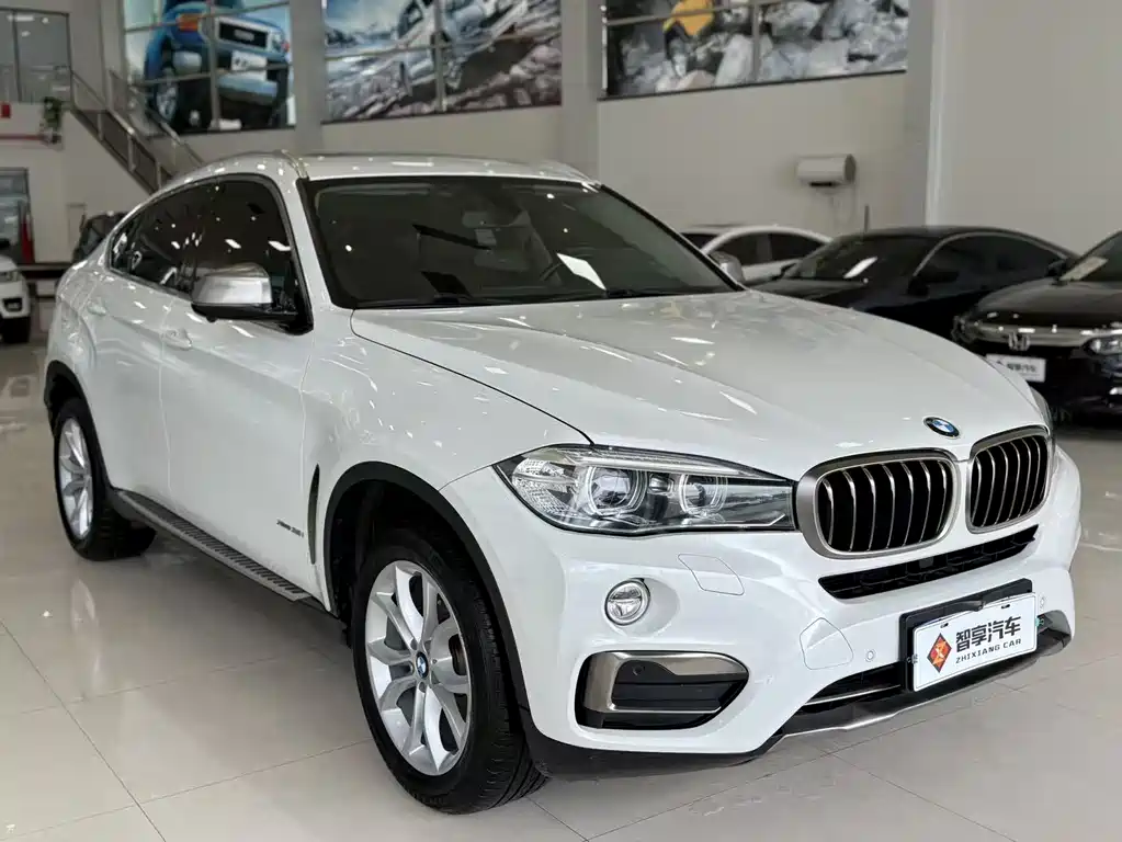 BMW  X6