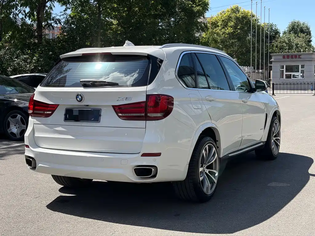 BMW X5 (Import) — миниатюра 5