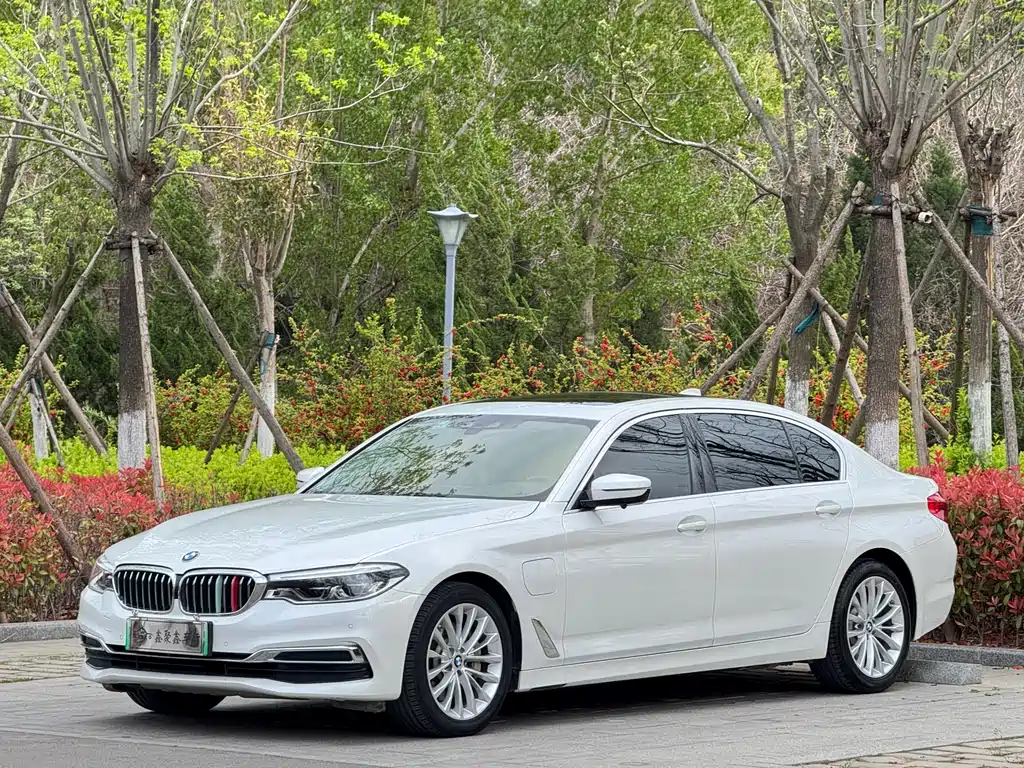 BMW 5 Series New Energy 2020