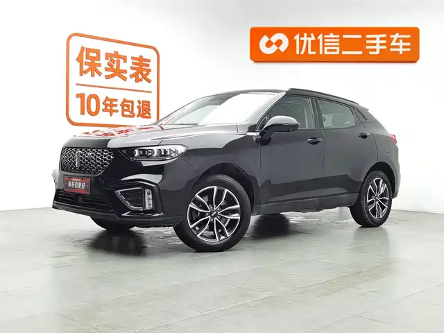 WEI PAI WEI BRAND VV5 2021