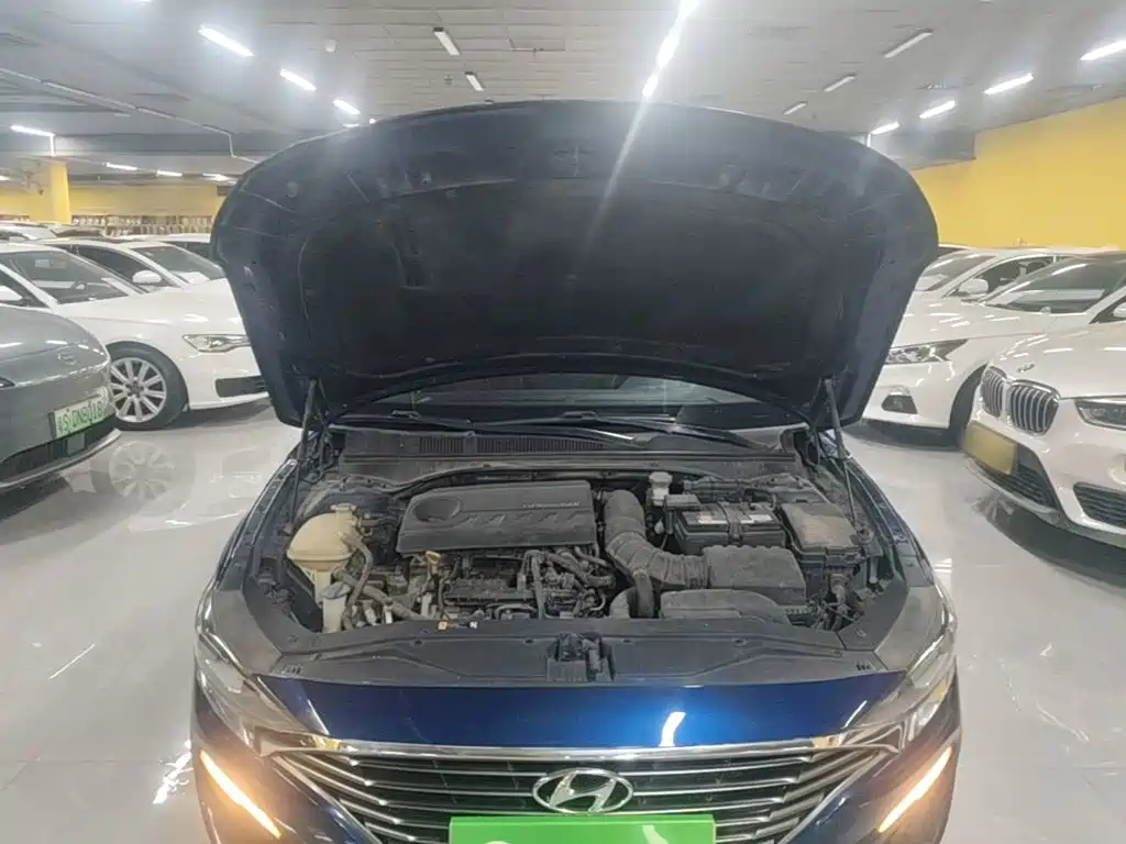 Hyundai Fista — миниатюра 20