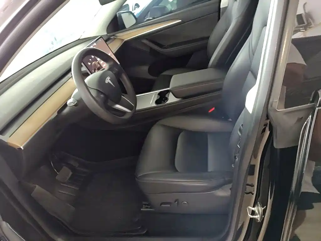 Tesla Model Y — миниатюра 15
