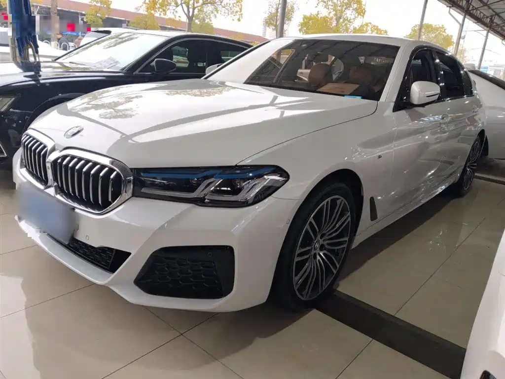BMW 5 Series 2019
