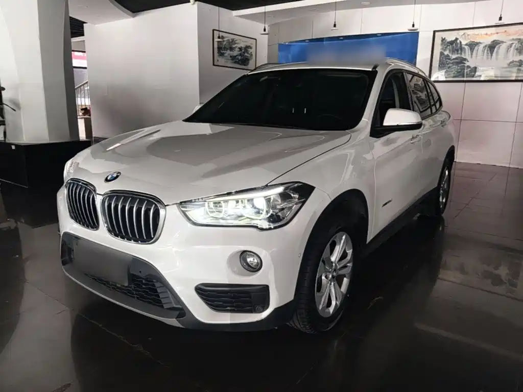 BMW X1 — миниатюра 2
