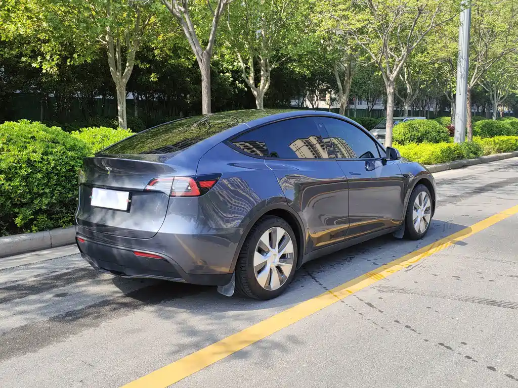 Tesla Model Y — миниатюра 9
