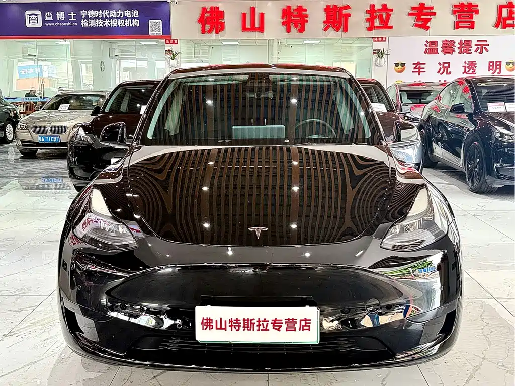 Tesla Model Y — миниатюра 5
