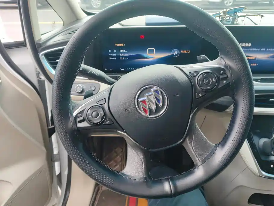 Buick GL8 — миниатюра 15