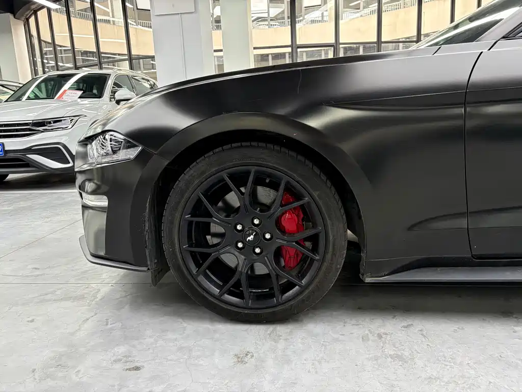 Ford Mustang — миниатюра 14