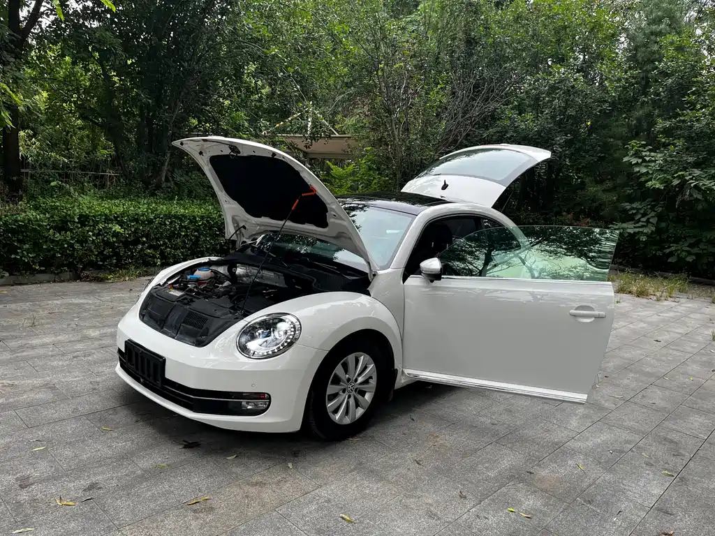 Volkswagen Beetle — миниатюра 16
