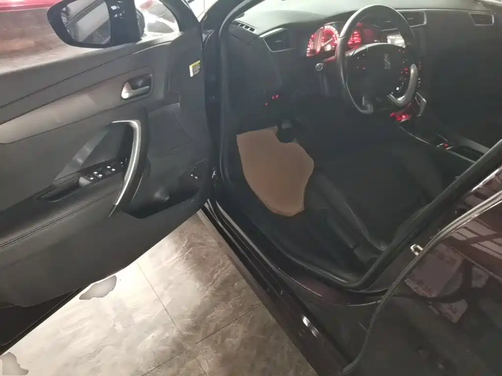 DS DS 5LS — миниатюра 16