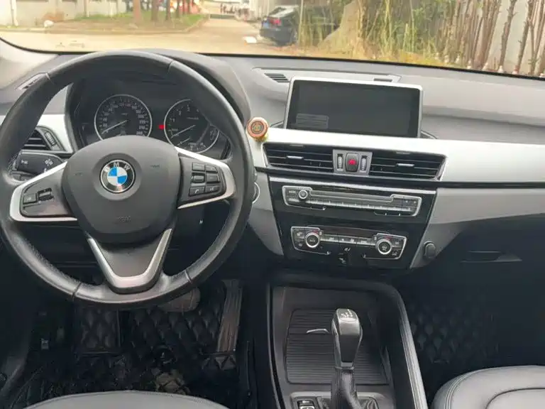 BMW X1 — миниатюра 2