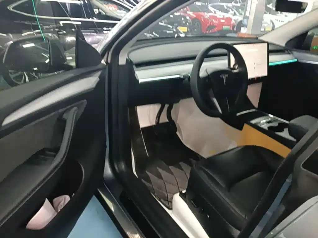 Tesla Model Y — миниатюра 16