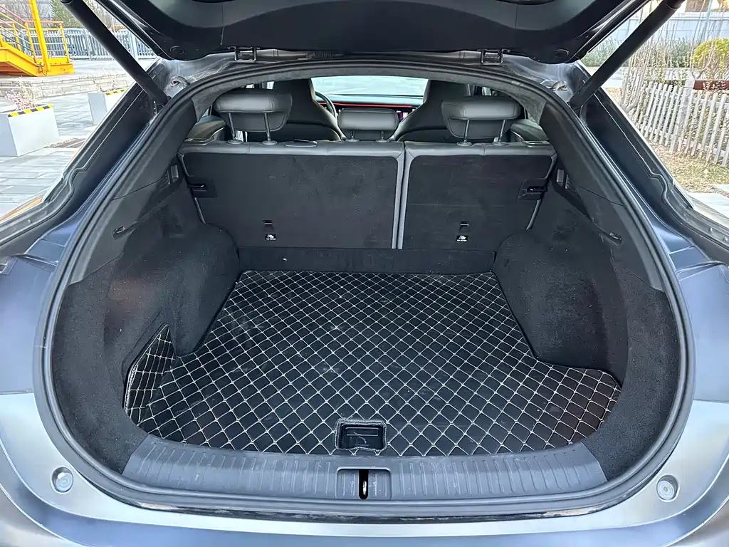 ARCFOX EXTREME FOX POLAR FOX ALPHA S