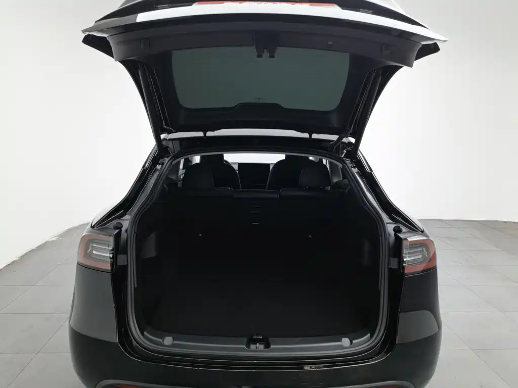 Tesla Model Y — миниатюра 16